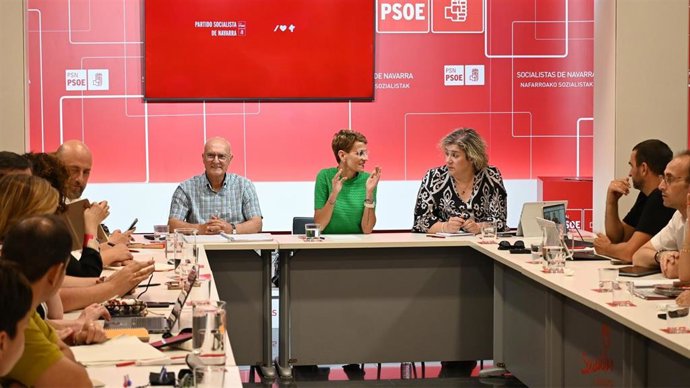 Comisión Ejecutiva Regional del PSN.