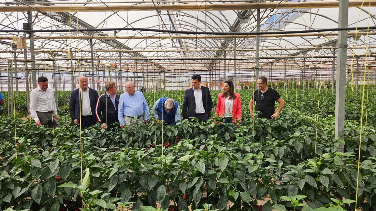 La Región de Murcia, finalista de los premios de Agricultura ecológica de la UE