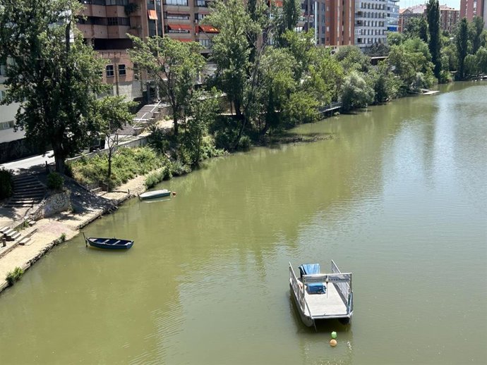 Embarcaciones en el río Pisuerga de Valladolid.