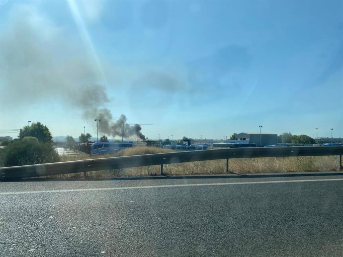 Columna de humo surgida del incendio declarado en Son Banya, y que es visible desde la carretera