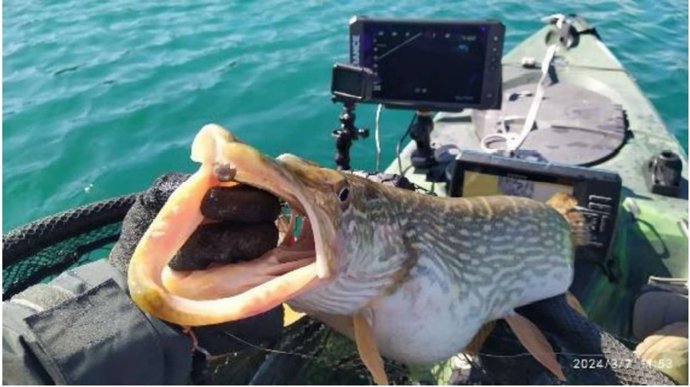 La Generalitat identifica cerca de 24.000 peces de 16 especies con un nuevo sistema con ecosondas en 3D a tiempo real 