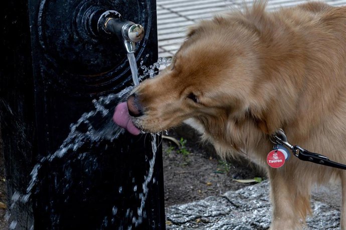 Las temperaturas seguirán subiendo 