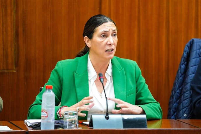 Archivo - La consejera de Inclusión Social, Juventud, Familias e Igualdad, Loles López, en comisión parlamentaria.