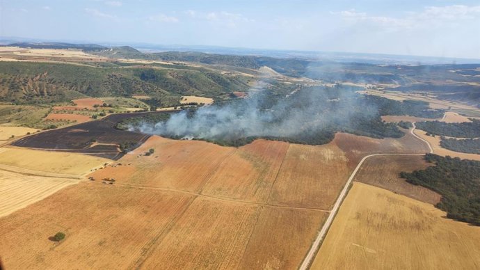 Vista aérea del incendio forestal en Cihuela (Soria).