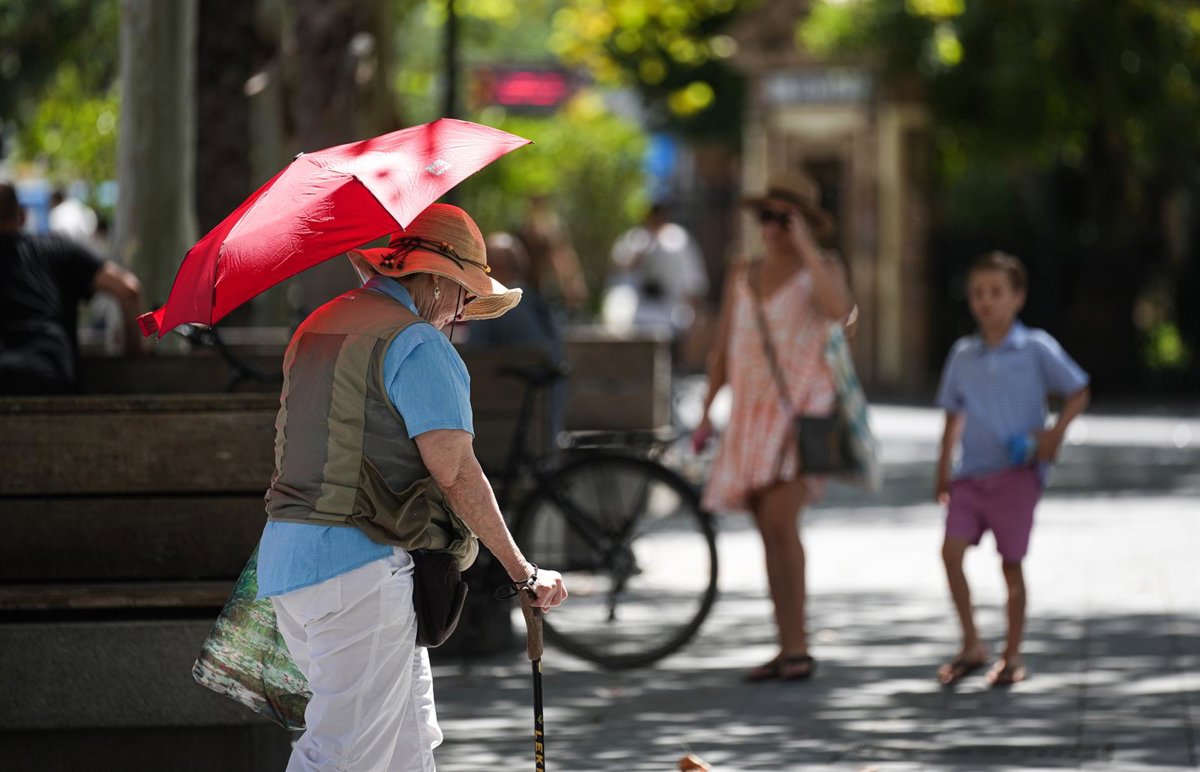 Más de un centenar de estaciones de la Aemet superaron los 40ºC este sábado, con hasta 46ºC en El Granado (Huelva)