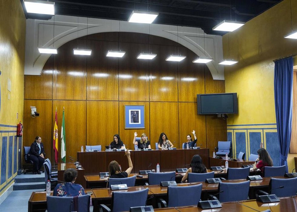 Votación en el grupo de trabajo para garantizar la protección de menores ante el acceso a la pornografía en Internet creado en el Parlamento andaluz.