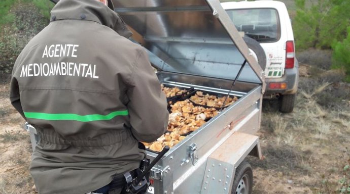 Archivo - Imagen de archivo de un agente medioambiental.