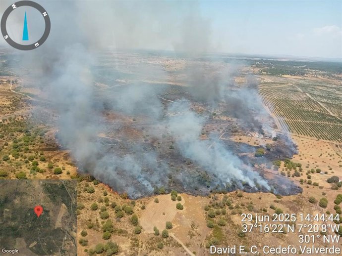 Incendio forestal en Villablanca.