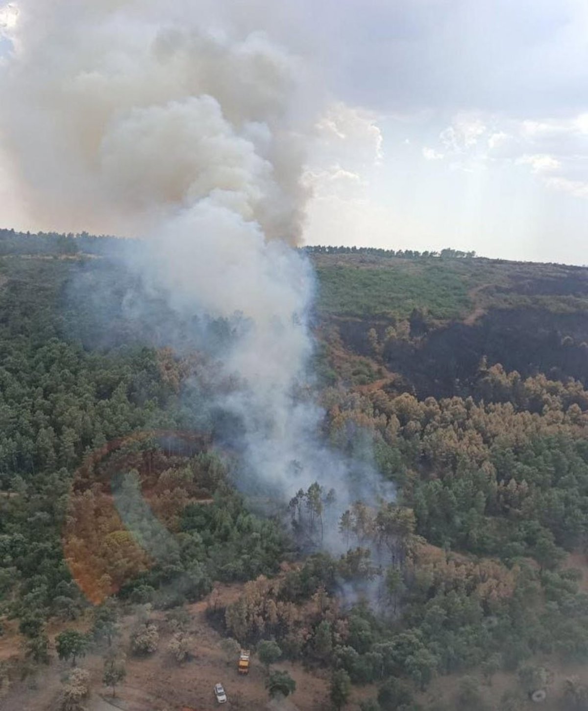 Declarado el nivel 1 de peligrosidad en un incendio forestal en el término municipal de Valdecaballeros (Badajoz)