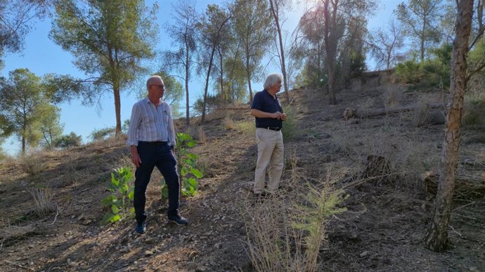 El concejal de Planificación Urbanística, Huerta y Medio Ambiente, Antonio Navarro, y el presidente de la Junta Municipal de El Esparragal, Ángel Pérez, visitan las labores de silvicultura en el parque municipal de Montepinar, en El Esparragal