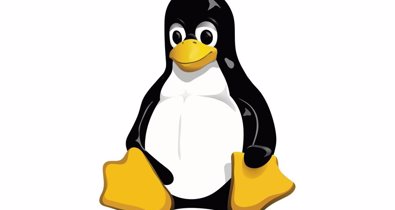 Software