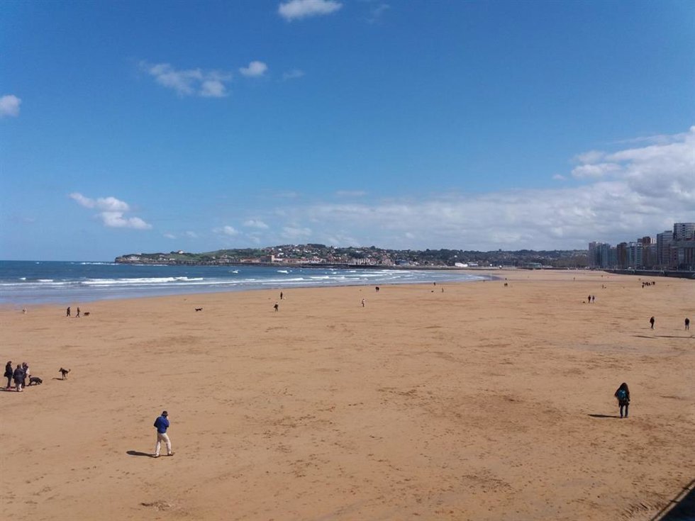 Archivo - Perros en la Playa de San Lorenzo, Gijón