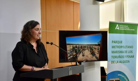 Es Andalucía - Cádiz