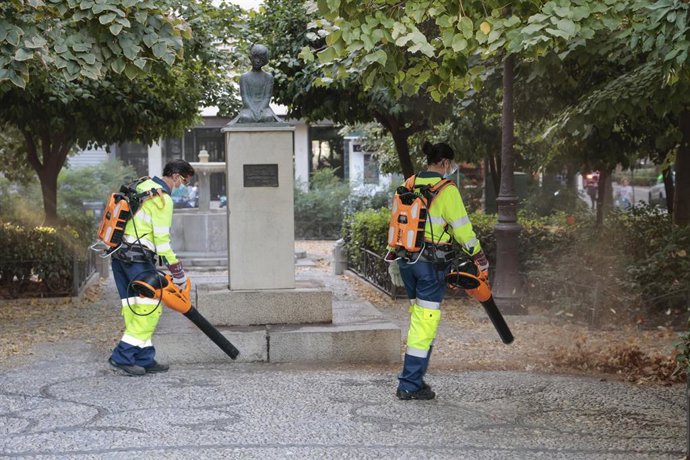 Archivo - Imagen de archivo de una campaña de limpieza de hojas en las calles de Granada