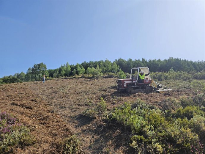 Trabajos de rehabilitación y forestación de terrenos públicos en Quintana de Fuseros (León).