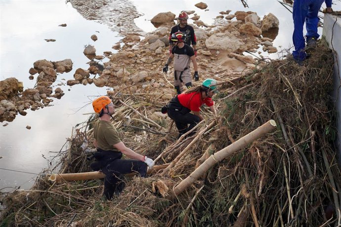 Archivo - Efectivos de la UME trabajan quitando árboles, a 7 de noviembre de 2024, en Cheste, Valencia, tras el paso de la dana