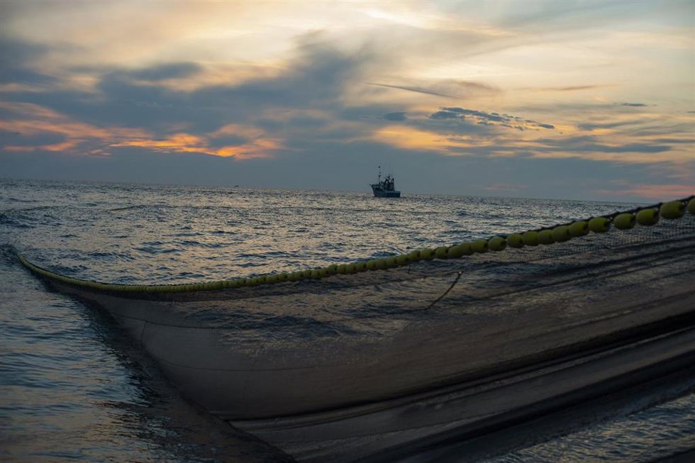 Archivo - Redes de pesca en el Mar Cantábrico para recoger anchoas.