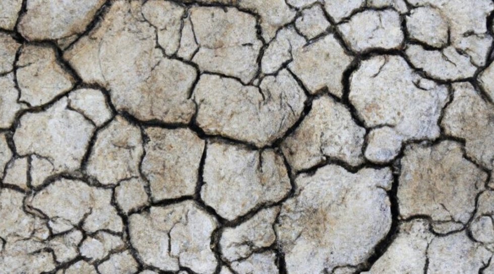 Cambio climático.
