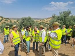 La directora general de Desarrollo Rural, Innovación y Formación Agroalimentaria, Isabel Bombal, ha visitado este lunes las obras  De los regadíos sostenibles en Mora y Mascaraque (Toledo).