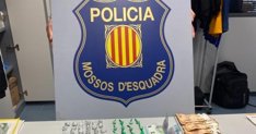 Aldia Gent