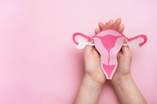 Archivo - Útero, ovarios. Concepto de salud de la mujer, ginecología y sistema reproductivo