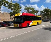 Unos 300 trabajadores del TIB de Mallorca apoyan ir a la huelga