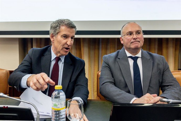 Archivo - Arquivo - O presidente do Partido Popular, Alberto Núñez Feijóo (à esquerda), e o porta-voz do PP no Congresso, Miguel Tellado (à direita), durante a conferência "Contra a impunidade", no Congresso dos Deputados, em 10 de fevereiro de 2025, em M