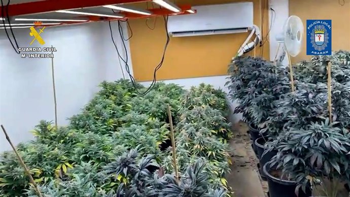 Vídeo de la noticia