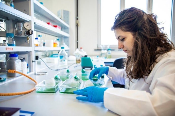 Universidades españolas podrán optar a becas de 10.000 euros para proyectos científicos entre España y Reino Unido