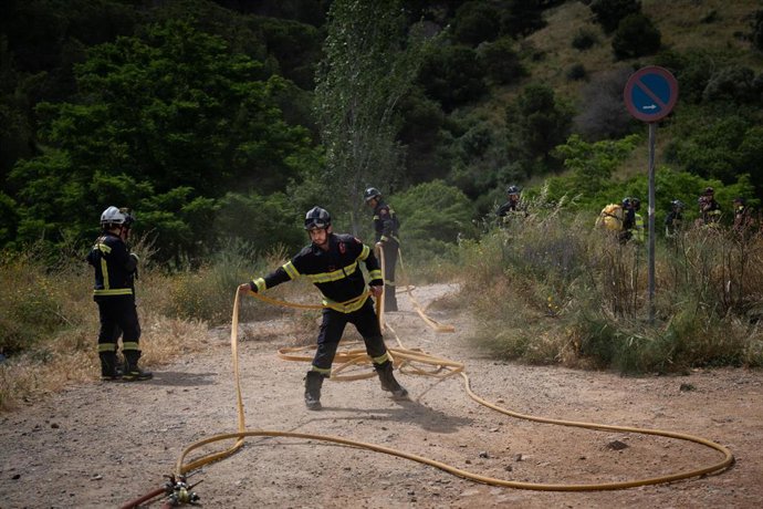 Varios bomberos durante un simulacro de incendio forestal en la montaña de Collserola, a 2 de junio de 2025, en Barcelona, Catalunya (España). 