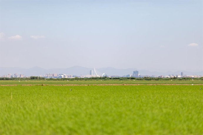 Archivo - Arrocerías