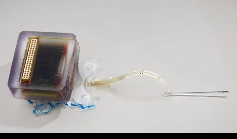 Investigación