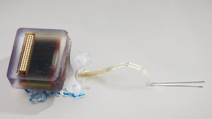 Imagen del dispositivo electrónico.