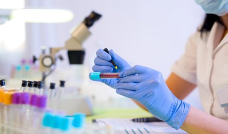 Investigación