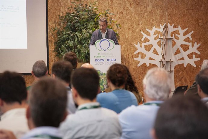 La superficie forestal certificada FSC crece un 14% en España y supera las 846.000 hectáreas.