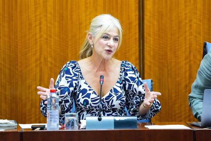 La consejera de Cultura y Deporte, Patricia del Pozo, en comisión parlamentaria a fecha de 01 de julio de 2025.