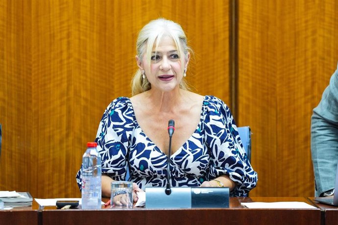 La consejera de Cultura y Deporte, Patricia del Pozo,  en comisión parlamentaria a fecha de 01 de julio de 2025.