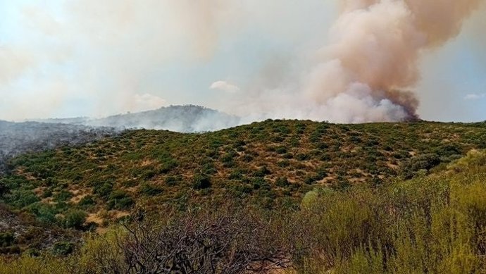 Incendio en la Sierra de Andújar, en la zona de El Encinarejo