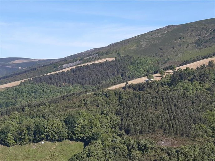 Archivo - Monte de utilidad pública Fonfaraón, en Allande.