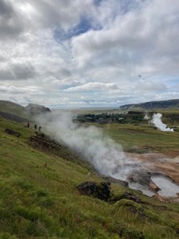 Pradera subártica del suroeste de Islandia