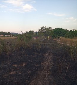 Incendio de matorral junto a la Vía Verde de Cehegín