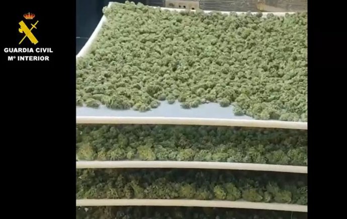 Detenidas nueve personas por tráfico de drogas y pertenencia a grupo criminal en Yuncler (Toledo).