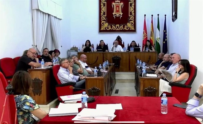 Pleno municipal de Baza