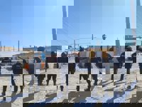 El operativo antidroga en Son Banya se salda con 8 detenidos y 6 puntos de venta desmantelados