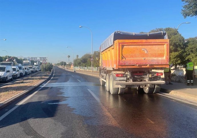 El camión averiado y detenido en la vía.