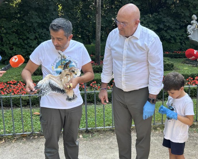 El alcalde de Valladolid, Jesús Julio Carnero, junto al miembro del proyecto Pennatus Ignacio García Dios, que sostiene uno de los pollos anillados de águila calzada, y el hijo de éste.