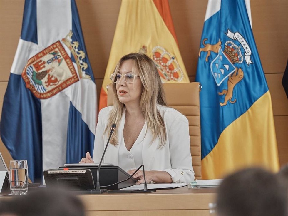 Archivo - La presidenta del Cabildo de Tenerife, Rosa Dávila