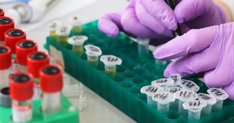 Investigación