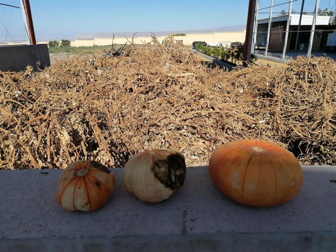 Residuos agrícolas.