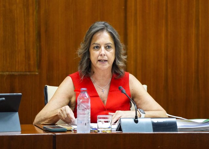 La consejera de Sostenibilidad y Medio Ambiente, Catalina García, en Comisión parlamentaria a fecha de 02 de julio de 2025.